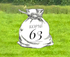 Korm63