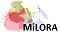 Милора