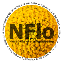 NFlo