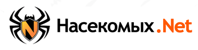 Насекомых.Net