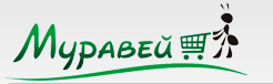 Муравей